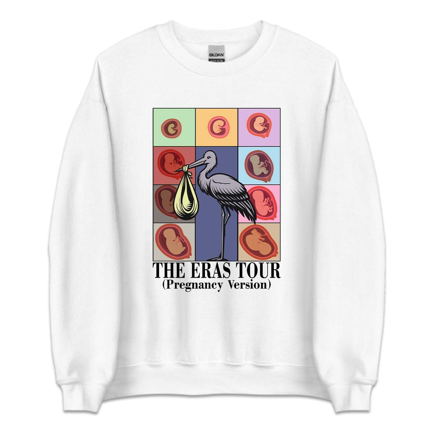 Taylor Inspired Eras Tour Pregnancy Baby Bump To Birth Journey | PRODUCT CODE: TLYSWFPRGM
