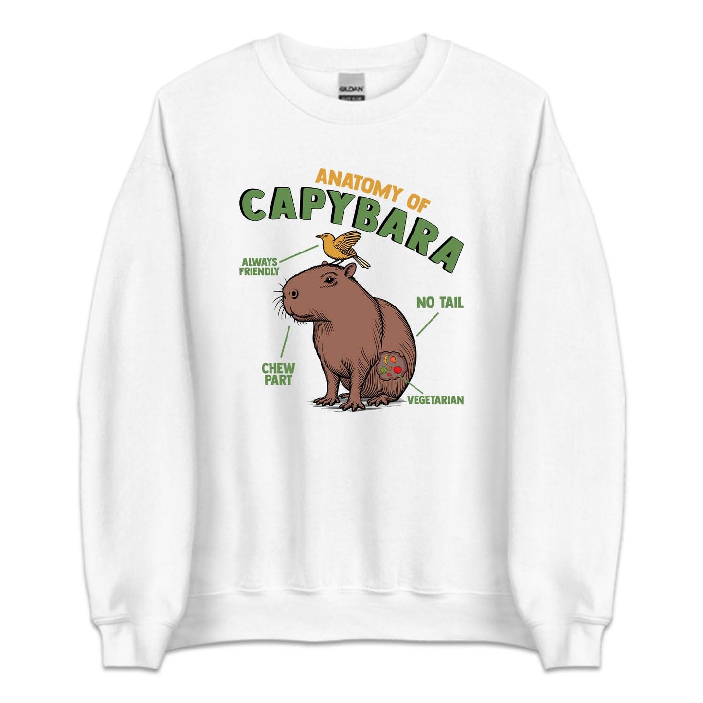 Anatomy Of Capybara Funny Rodent Animal Lover | PRODUCT CODE: ANTMYFCPBR
