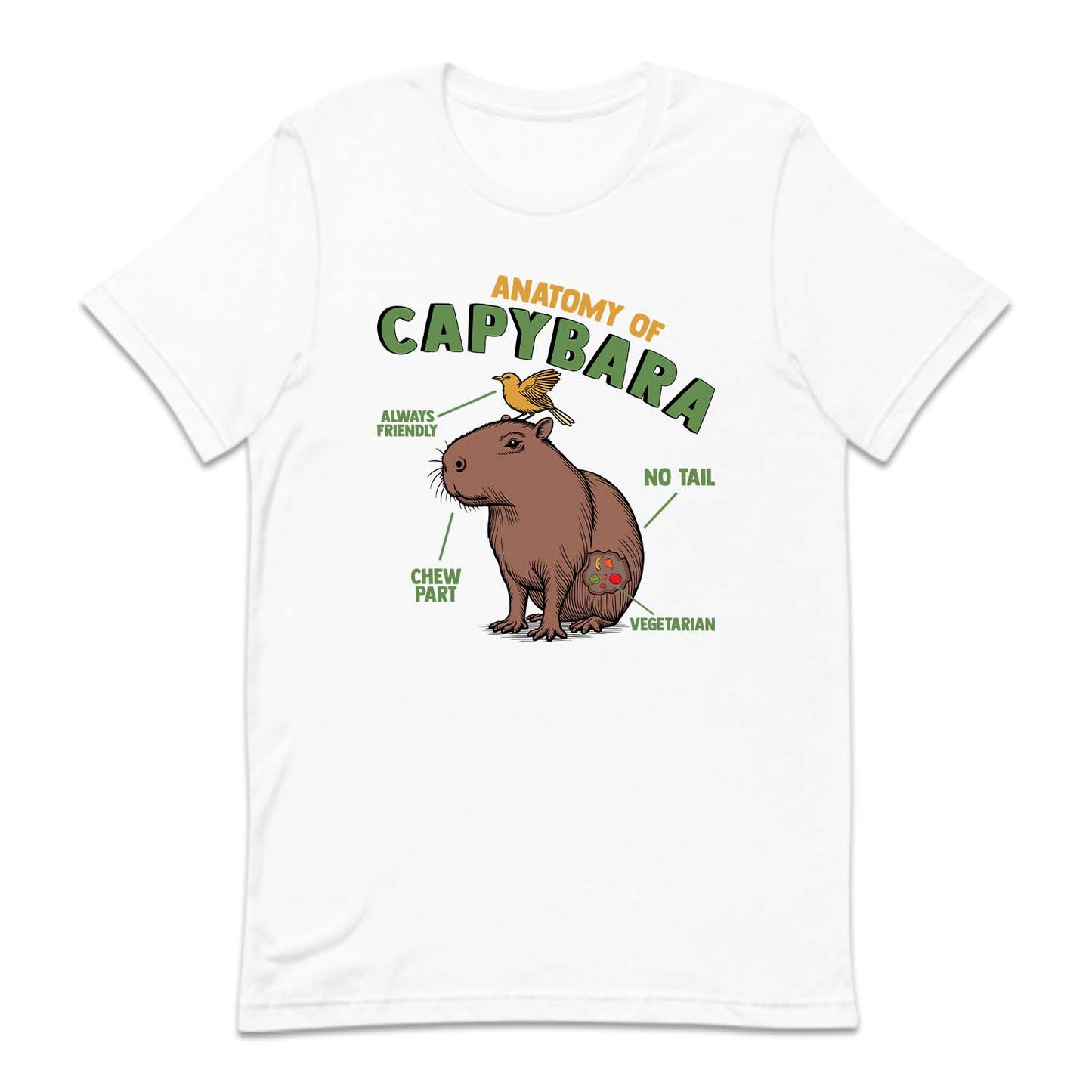 Anatomy Of Capybara Funny Rodent Animal Lover | PRODUCT CODE: ANTMYFCPBR